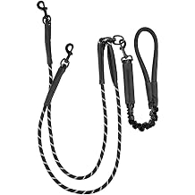 Pieviev Double Dog Leash for 2 Medium&Large Dogs, Longer Coupler, No Tangle