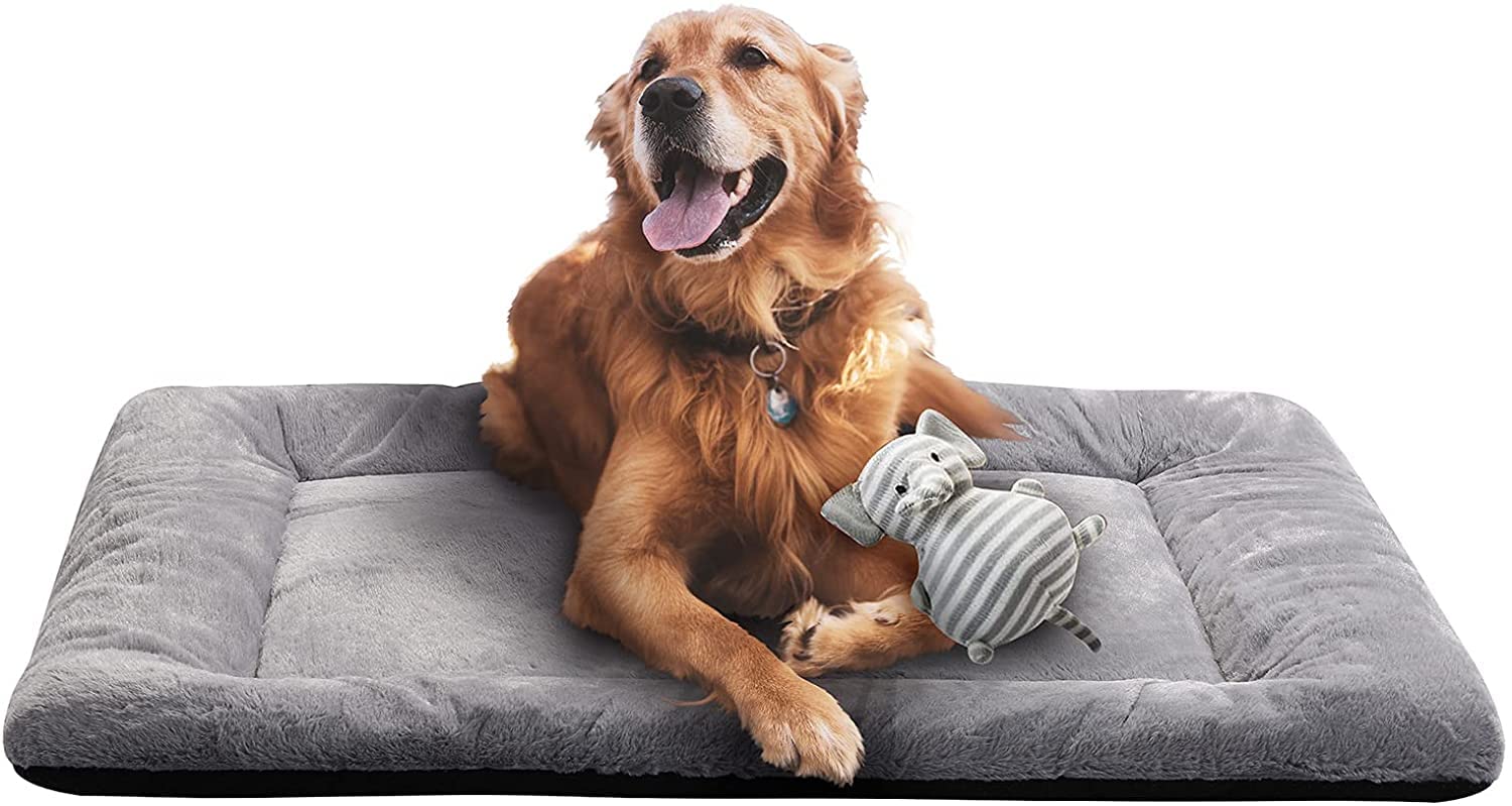 CARESFUL Ultra Soft Pet(Dog/Cat) Crate Mat Anti-Slip Machine Washable Kennel Pad Dog Sleeping Well Bed for Dogs (Grey, XL) (B09Z73PL5T) Amazon Price History, Amazon Price Tracker