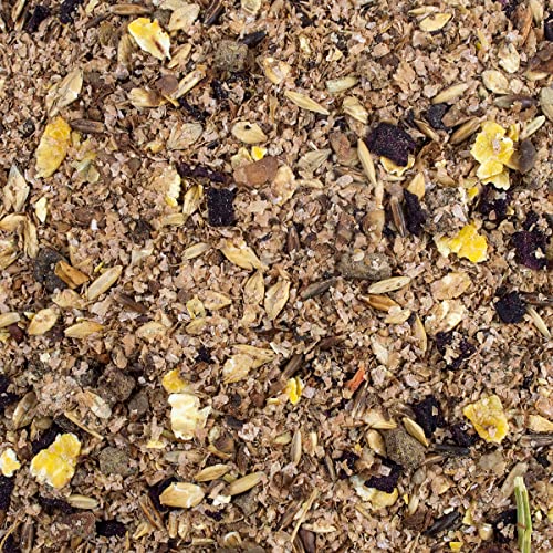 Speed RED Apple Mash, 2,5 kg, vielfältiges Pferdefutter aus bestem Getreide, mit leckeren Apfelstückchen und vitalstoffreicher Rote Bete, besonders bekömmlich, Made in Germany