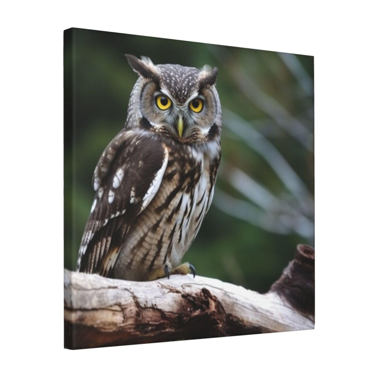 FodPand Wild Owl Birds Canvas Wall Art for Living Room Wall Decor 16"x16" Modern Artwork Painting Pictures Hanging Canvas Prints Aesthetic Wall Art for Bedroom Bathroom Office Wallart Decor