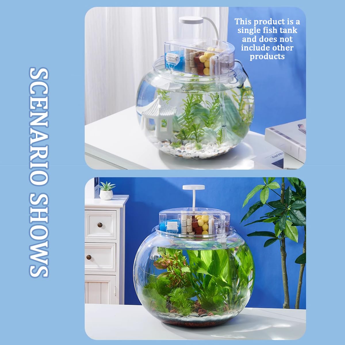 Amazon.co.jp: クリアな視界を備えた丸型プラスチック製水槽、ベタ