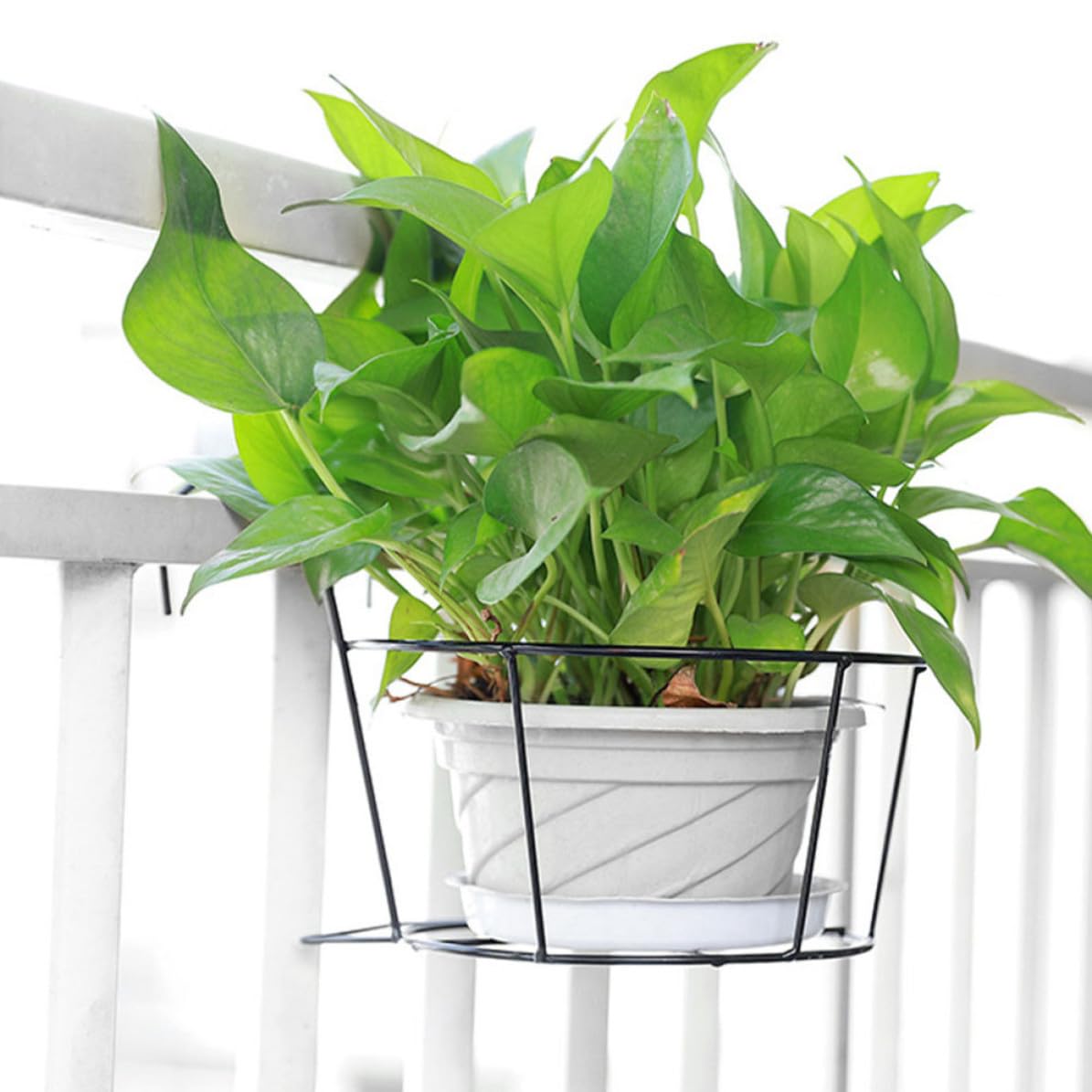 Fioriera rotonda da parete in ferro battuto da 25 cm, elegante supporto da appendere per interni ed esterni, decorazione da giardino e balcone, accessorio durevole per la casa