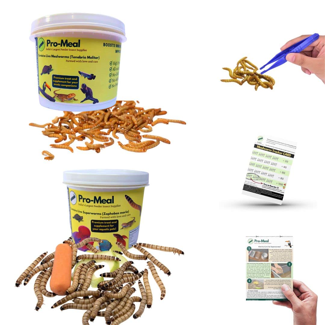 Combo - Mealworms + Superworms by Promeal | Treat Food for Aquarium Fishes Like Flowerhorn, Arowana, and Birds, Finches, Reptiles, Monkeys and Other Pets (500 Mealworms + 50 Superworms) (B0BLLR38GJ) Amazon Price History, Amazon Price Tracker