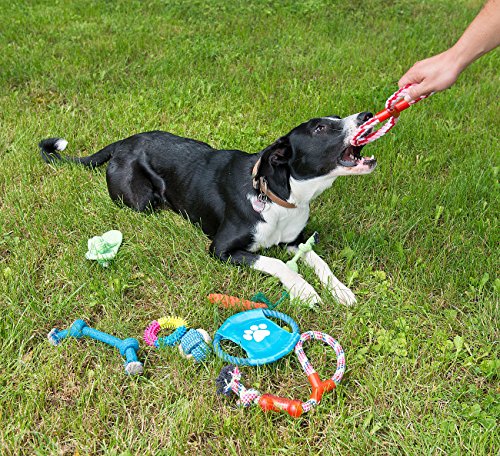 Sweetypet Wurfspiel für den Hund: 10er-Set Bunte Hundespielzeuge aus Baumwolle zum Kauen und Toben (Hunde Bedarf, Hundespiele)