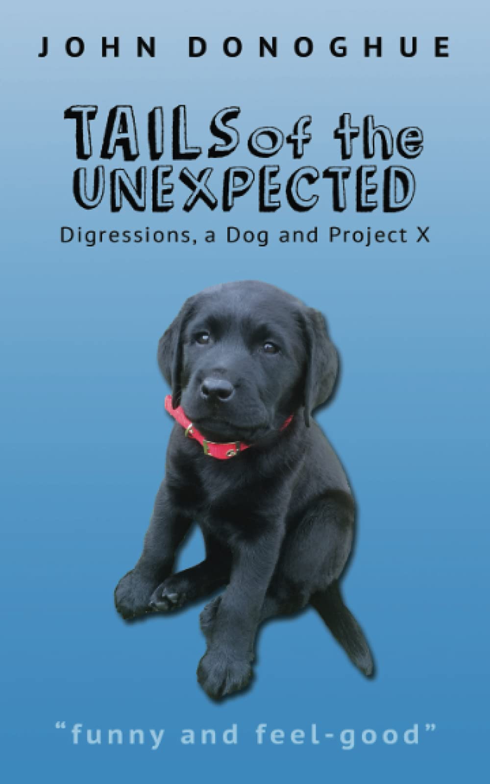 Tails of the Unexpected: Digressions, a Dog and Project X