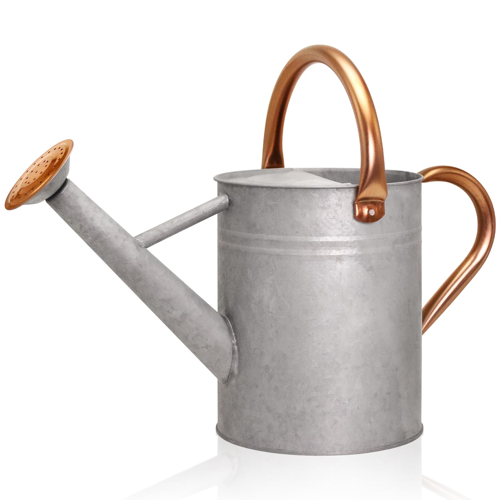 Ausluru Metal Watering Can