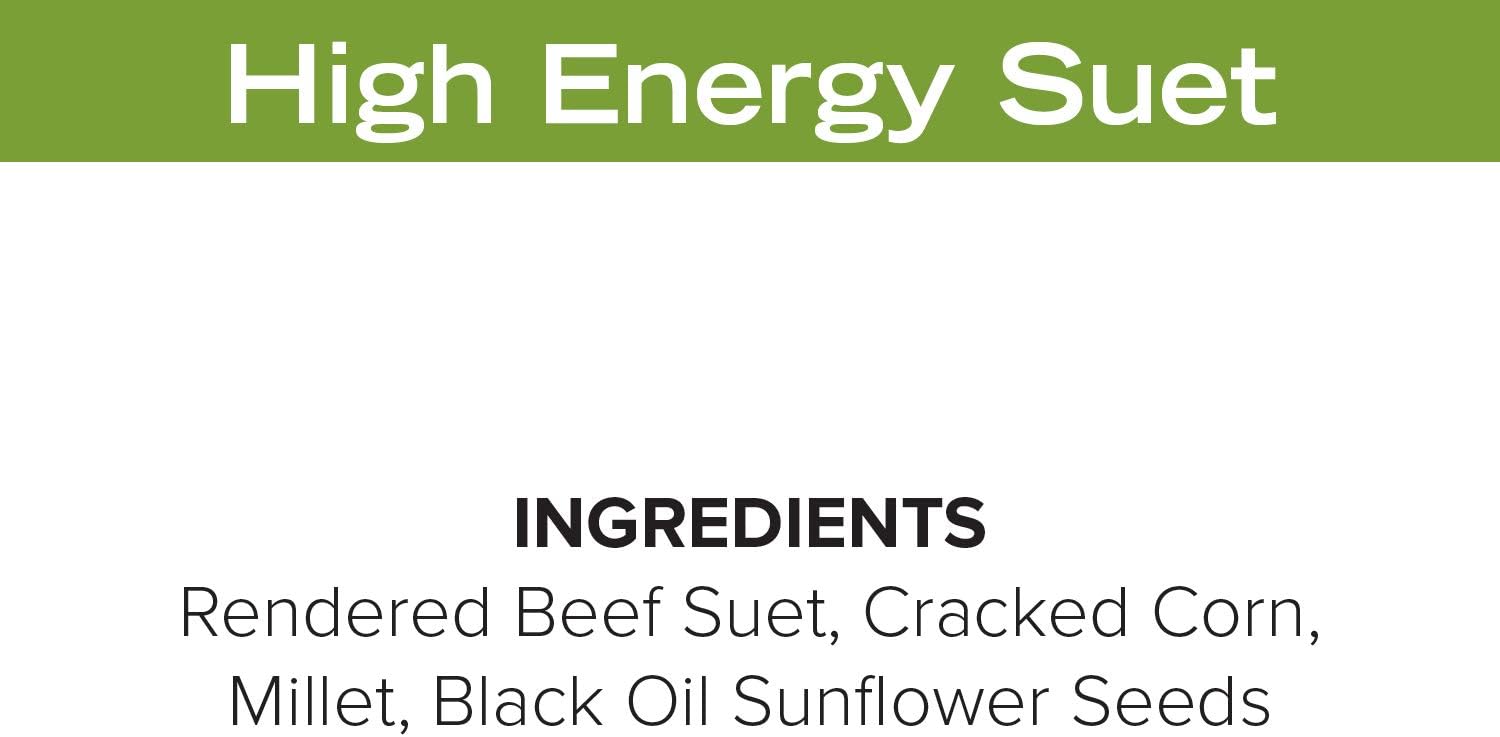 11oz Year Round Premium High Energy Bird Suet Cake 12pk : Patio, Lawn & Garden