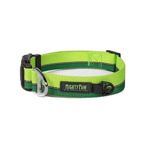 Mighty Paw Reflective Dog Collar - Perfect for Small & Large Dogs - Easily Adjusts Heavy Duty Buckle for Easy On & Off - Weather Proof - Fun in All Climates - Nighttime Visibility