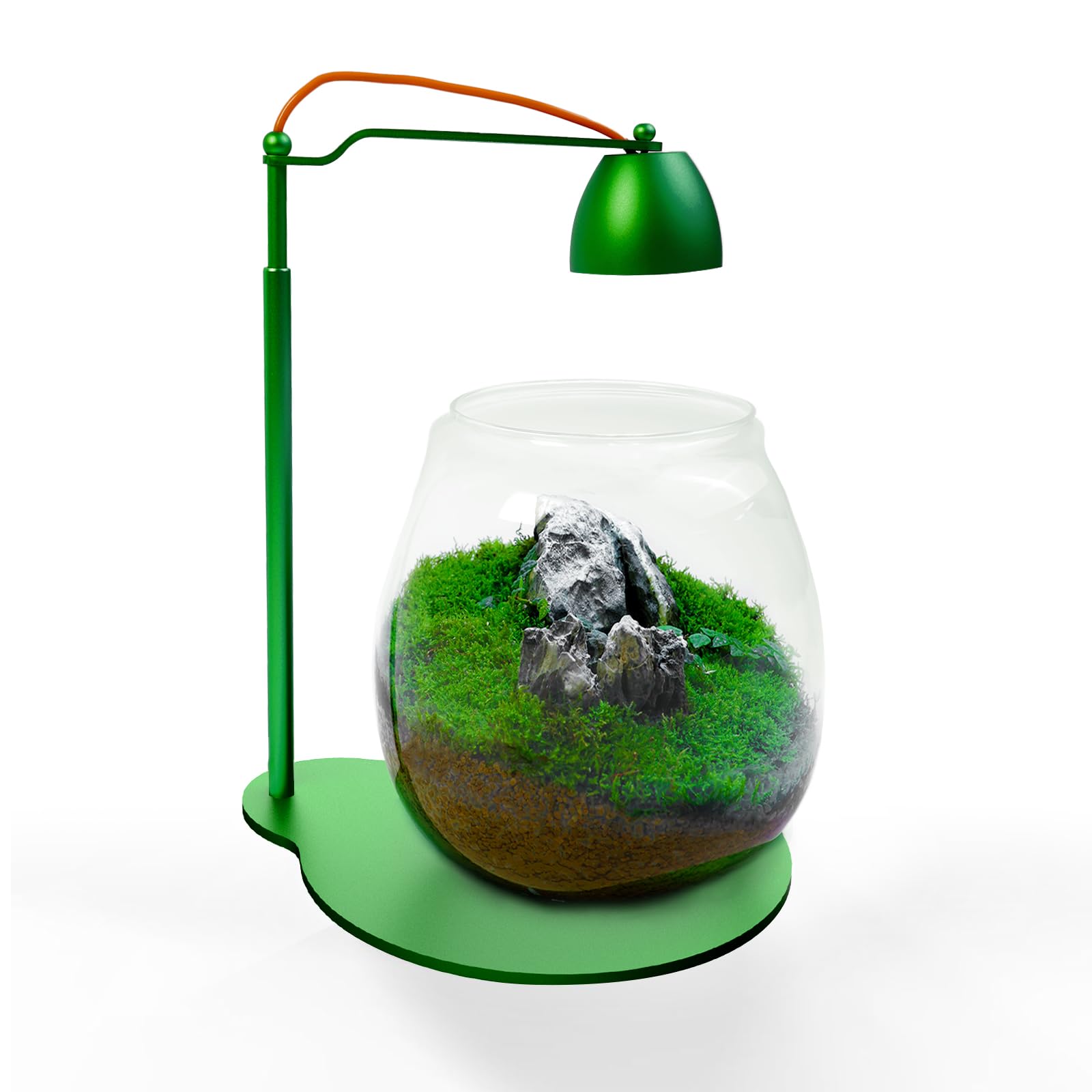【Umizon】MOSSboard Qteppeihirota Amazon.com: FZONE Terrarium with Light - Moss Micro