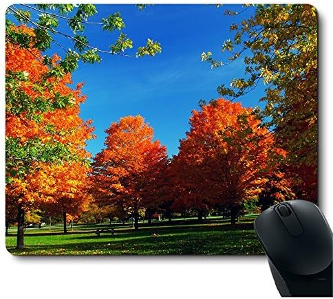 Amazon.com: Autumn Natural Orange Fall Trees Mouse Pad : Office Products
