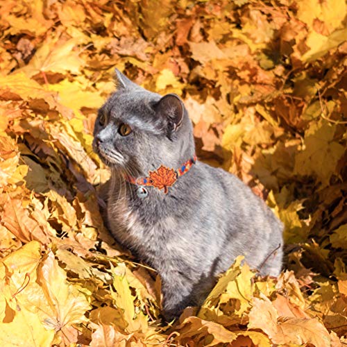 PUPTECK Autumn Cat Breakaway Collar with Bell - 3 Pack Adjustable Kitty Collars with Autumn Pattern and Cute Turkey… - Image 8