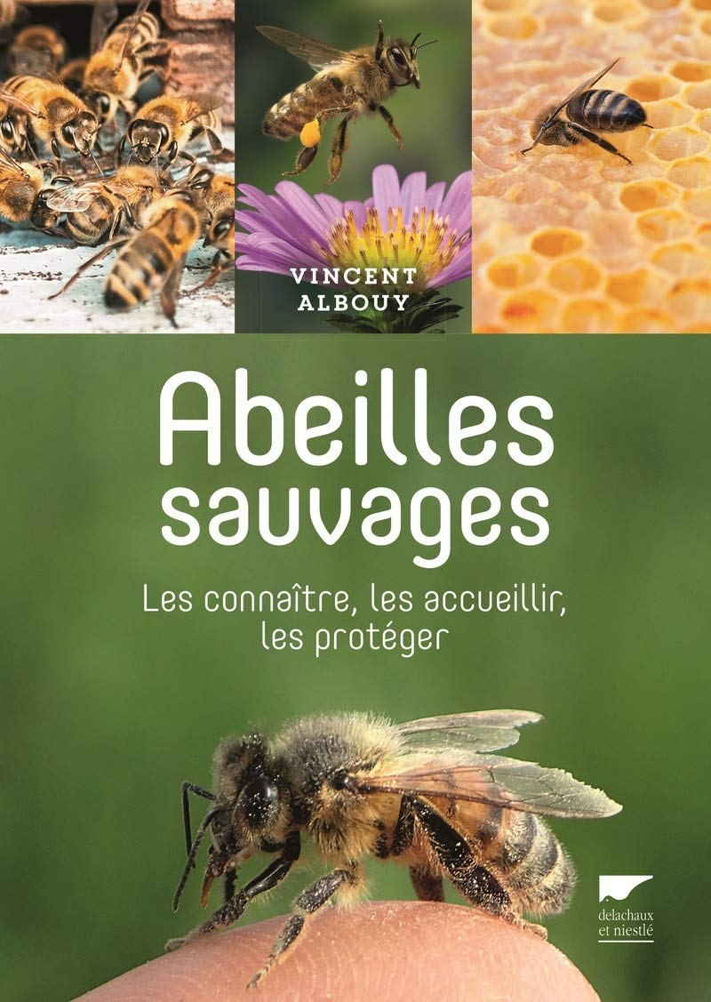 Abeilles sauvages: Les connaître, les accueillir, les protéger