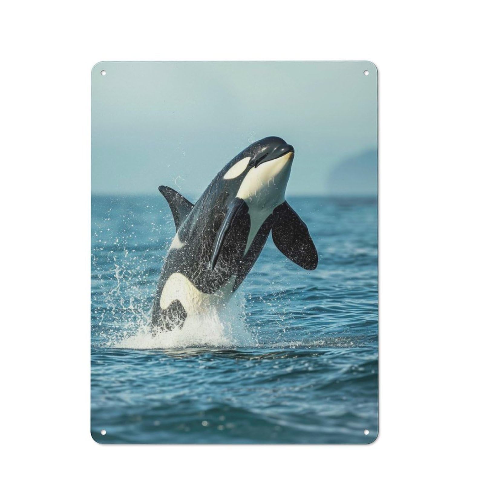 Junmoney Sea Orca Whale Killer For Hobby Room Or Studio, Rustic Metal Sign 40X30cm, For Creative Interior Collectors Refreshing A Room In Autumn