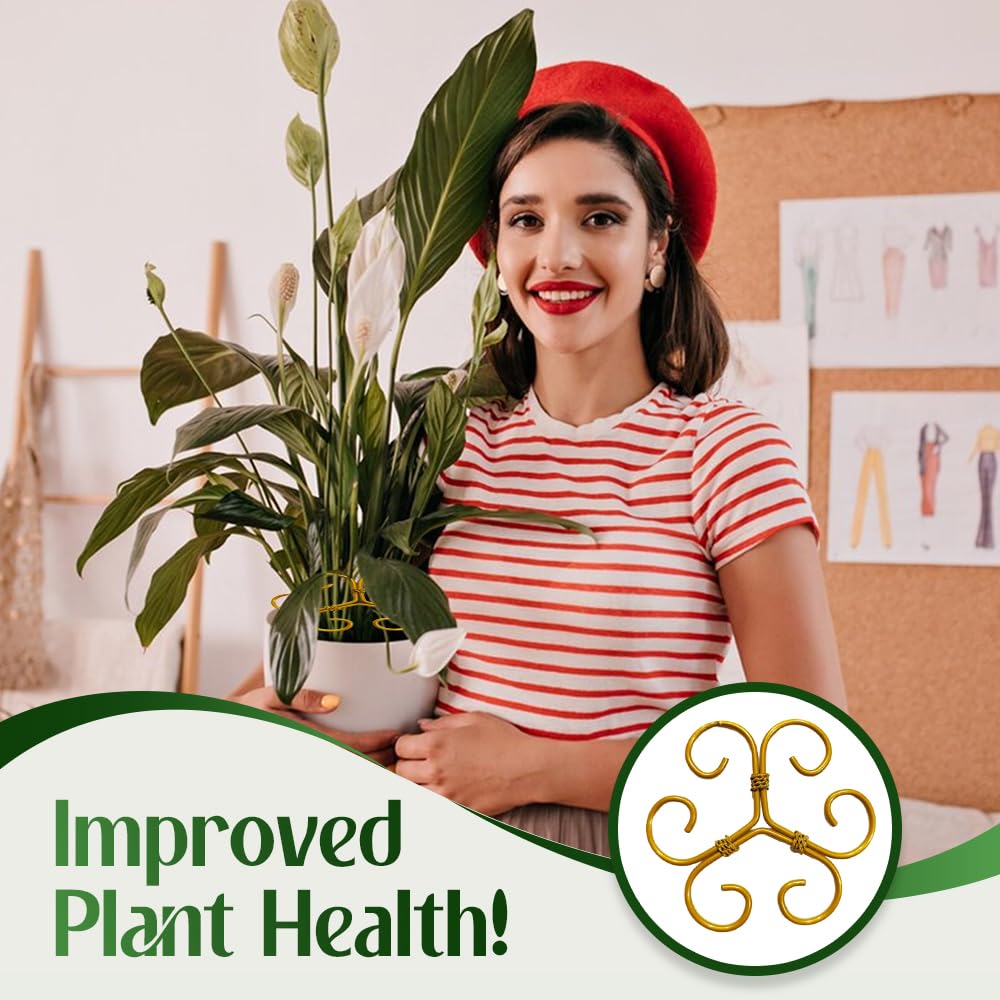 Monstera Lot de 10 supports pour plantes grimpantes - Stabilisateur durable - Clips de jardin pour plantes grimpantes - Support de tige de plante idéal pour une croissance prospère (10 pièces, #A)