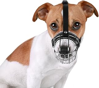 BronzeDog Wire Basket Dog Muzzle Jack Russell Terrier Metal Leather Adjustable Puppy Small (XXS)