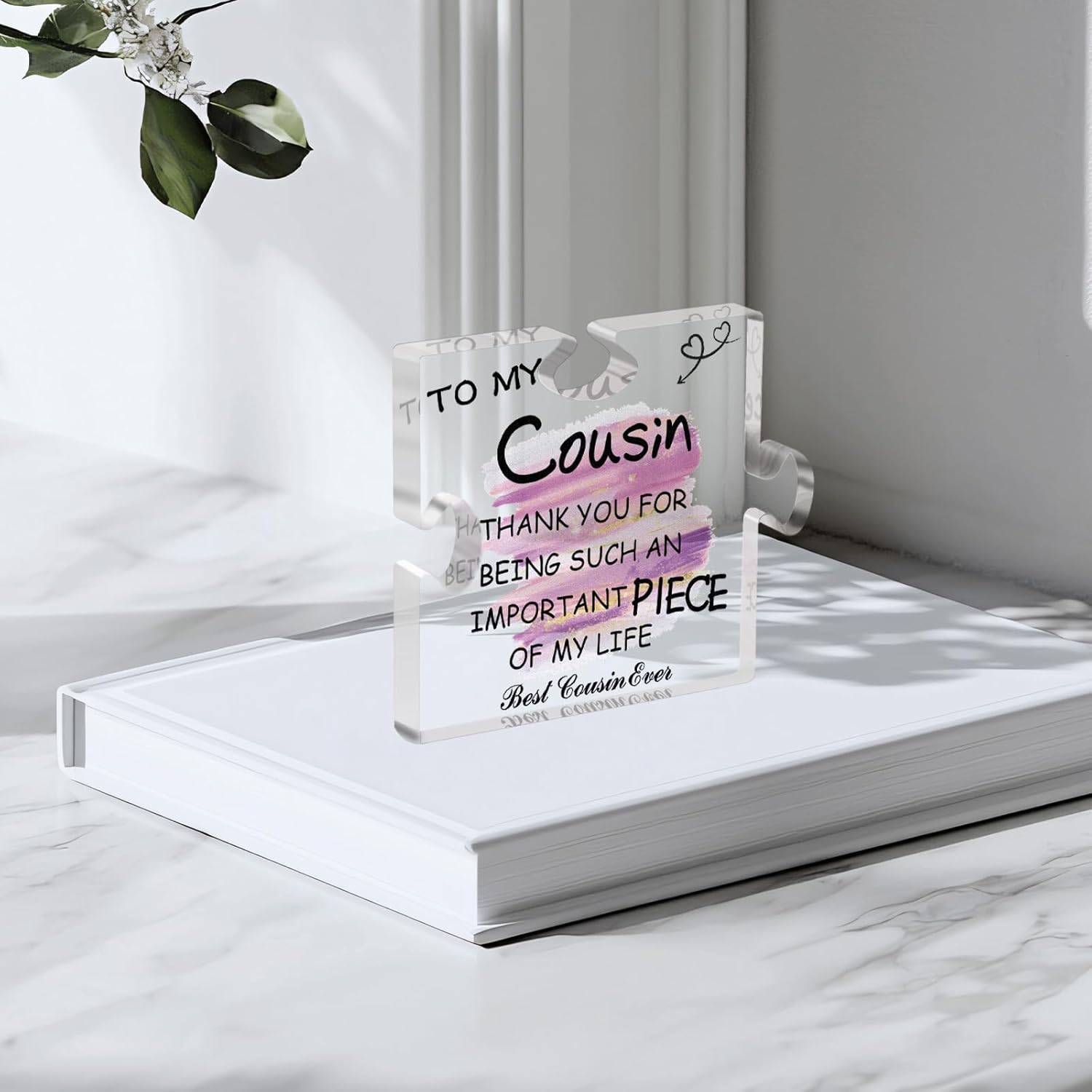 Cousin Gifts for Women - Best Cousin Ever Christmas Birthday Acrylic Plaque - Image 5
