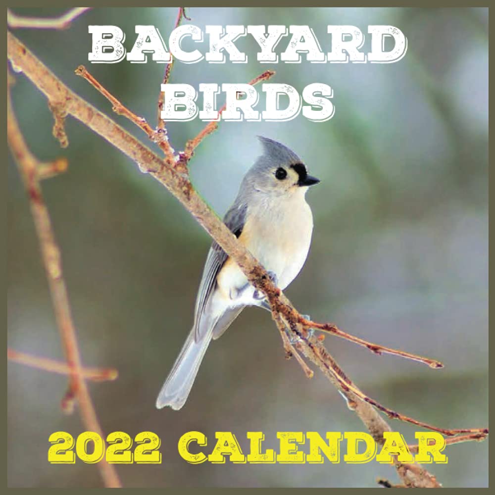Backyard Birds Calendar 2022 Daily, Weekly and Monthly Planner