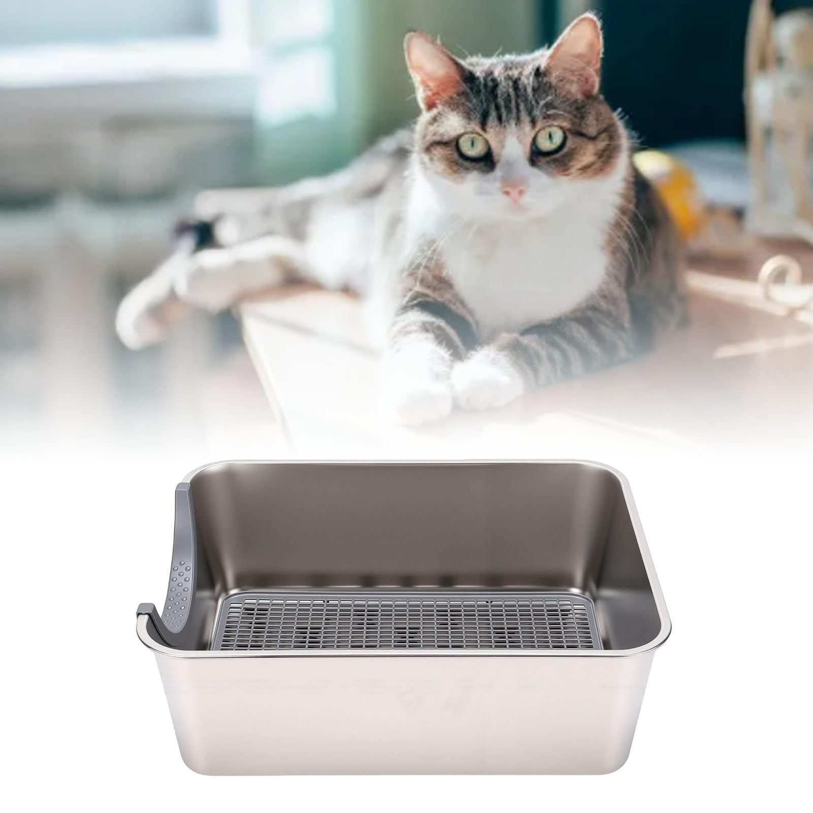 Katzenpflege- und Hygienezubehör, Katzentoilette, Zweikammer-Design mit Geruchskontrollfilter, Moderne Offene Oberseite für Große Katzen, Luxuriöse Edelstahl-Katzentoilette mit Zwei Fächern