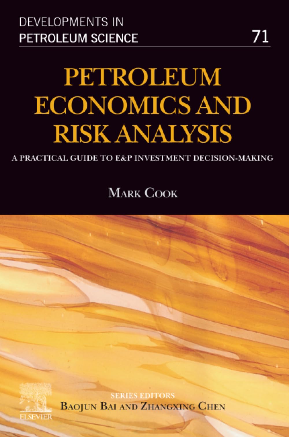Petroleum Economics and Risk Analysis: A Practical Guide to E&P Investment Decision-Making (Volume 71) (Developments in Petroleum Science, Volume 71) Paperback – 29 January 2021