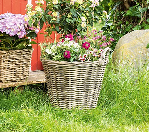 Pflanzkorb Rattan xxL Die 15 besten Produkte im Vergleich