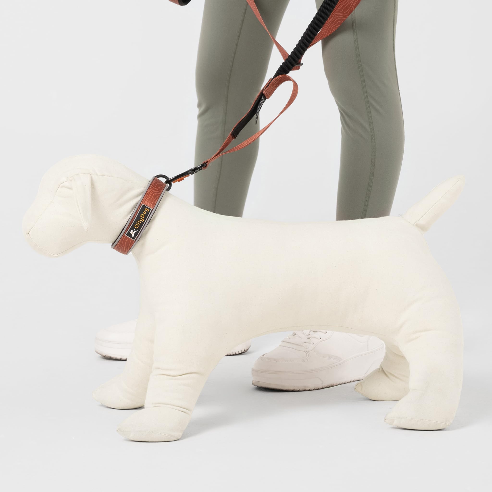 OllyDog Martingale Halsband – Reflektierend, Neopren Gepolstert, Für Aktive Hunde
