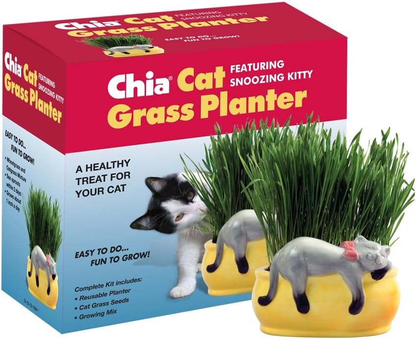 Chia Pet Kitty Cat Grass, Decorative Pottery Planter, Easy to Do and Fun to Grow, Novelty Gift, Perfect for Any Occasion