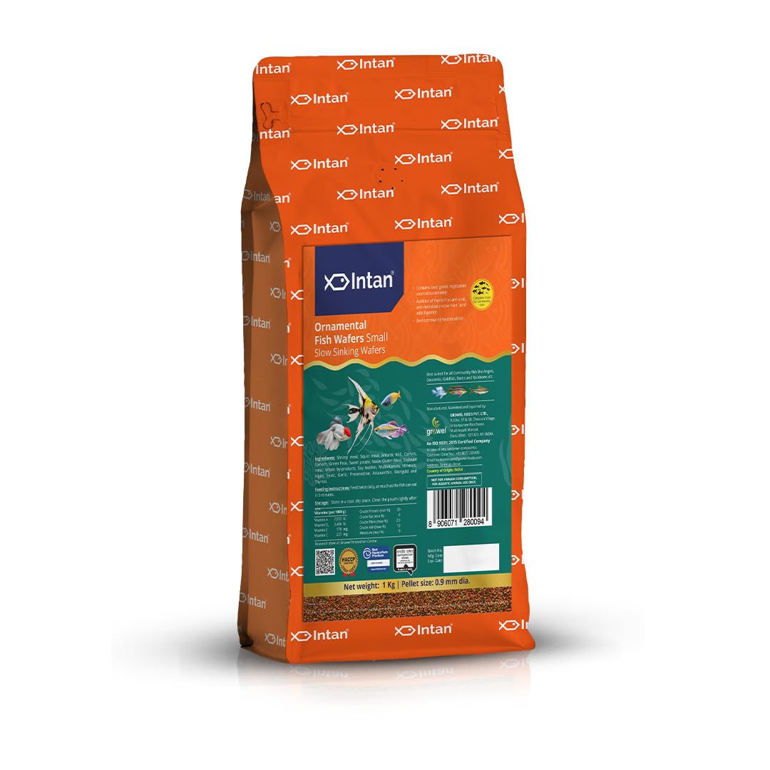 Growel Intan Ornamental Fish Wafers (0.9mm Small Slow Sinking) | 1Kg - Highly Nutritious Ornamental Fish Food for Angels, Gouramis, Goldfish, Barbs & Rainbows (B0CV5FFK28) Amazon Price History, Amazon Price Tracker