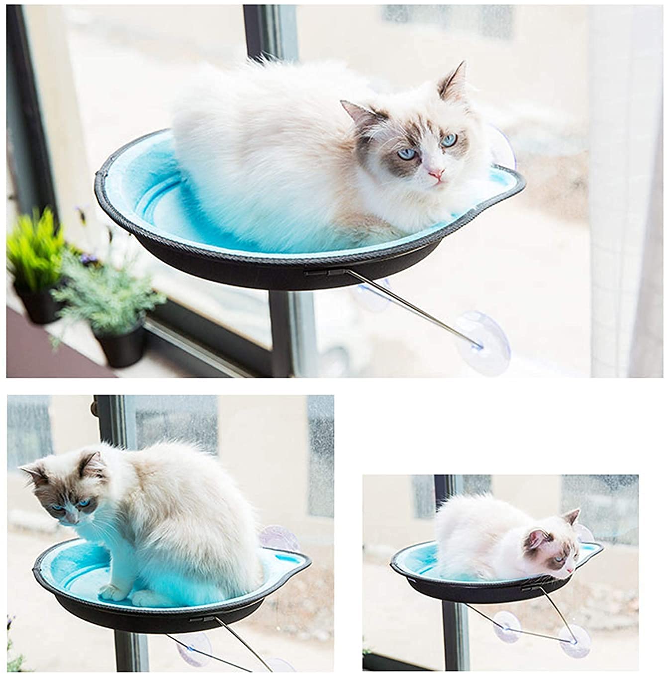 Hamaca para Gato Hamaca Ventana de Gato Cama montada en la Ventana para Gatos Asiento Solar Ventana Hamaca Percha Cojín Cama Estante Colgante Asiento Hamaca para Tomar el Sol Taza de succión Nido co