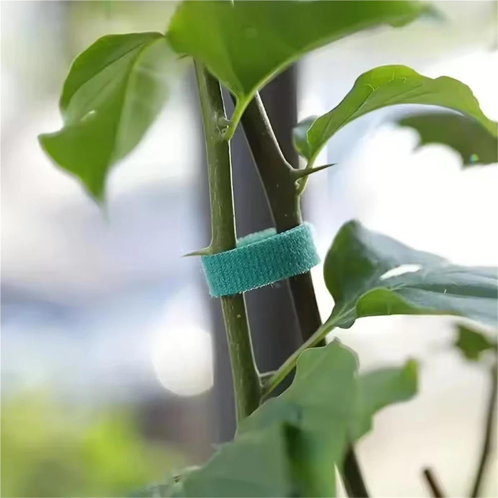Gartendraht Grüner, Selbstklebender Pflanzen-Nylon-Kabelbinder