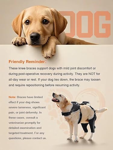 Miniatura 8 de Rodillera para perro para rehabilitación de desgarro del ligamento cruzado anterior y rótula dislocada, soporte ajustable para piernas y suficiente