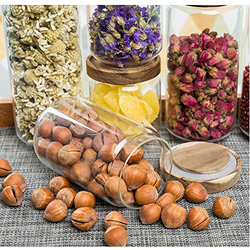 Keledz Glass Storage Jar With Wood Lids, Airtight Sealed Clear Borosilicate Glass Canister Kitchen Food Storage Containers For Coffee Beans Loose Tea Nuts Sugar Candy Spice, 450Ml 16 Oz (450Ml 16 Oz) #TOP4