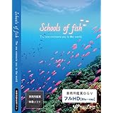 業務用鑑賞映像ソフト「Schools of fish -The sea connects you to the world.-」フルHD画質 【商用可・空間演出・フルHD・著作権フリー・ヒーリングビデオ】