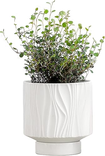 UBEE Maceta de cerámica de 5.5 pulgadas para plantas de interior, macetas únicas para suculentas, maceta decorativa con orificio de drenaje y