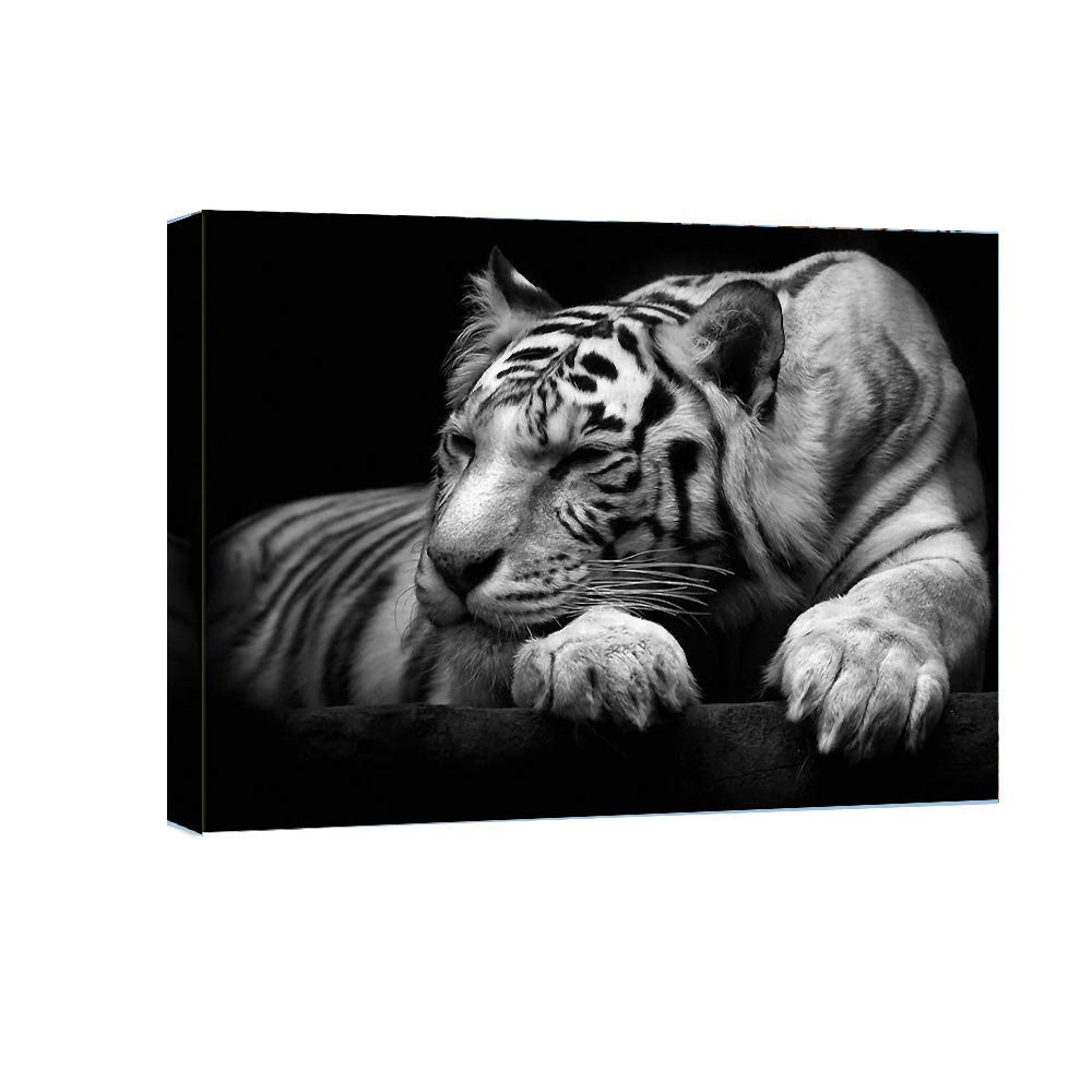 Buy Vijf Arte Black White Tiger Animal Painting Canvas Art Wall Decor