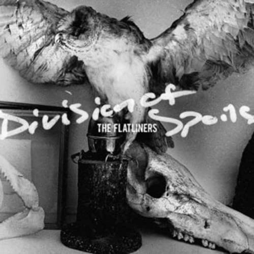 Division Of Spoils [VINYL]
