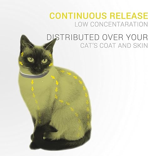 Miniatura 2 de Collar de pulgas para gatos, prevención de pulgas y garrapatas para gatos, collar de pulgas natural para gatos, talla única, protección de 8 meses