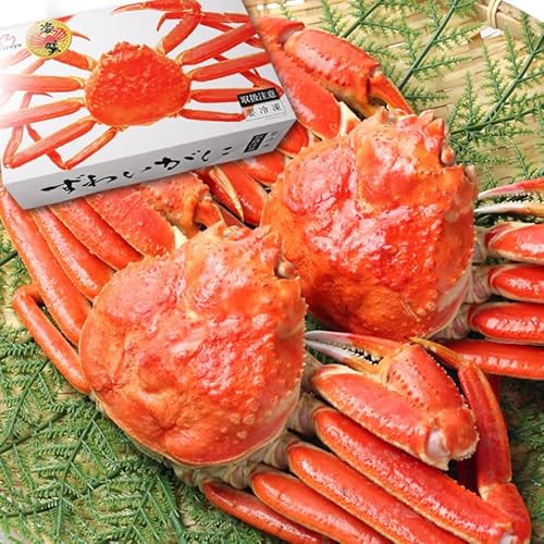 OH!GLE 킢 p 2sϔt (ʏo)