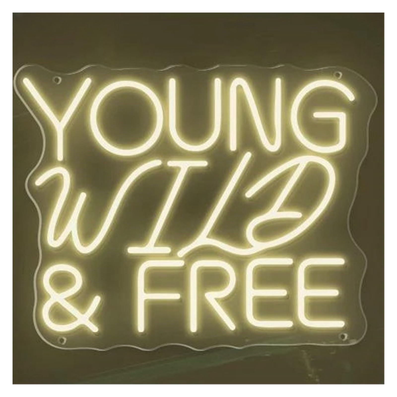 LEMST Signs Lamp Young Wild&Free neon Signs Lights for Bar Nightclub Party Advertising for Business Room Wall Decor Neon Light 38x30cm(A)