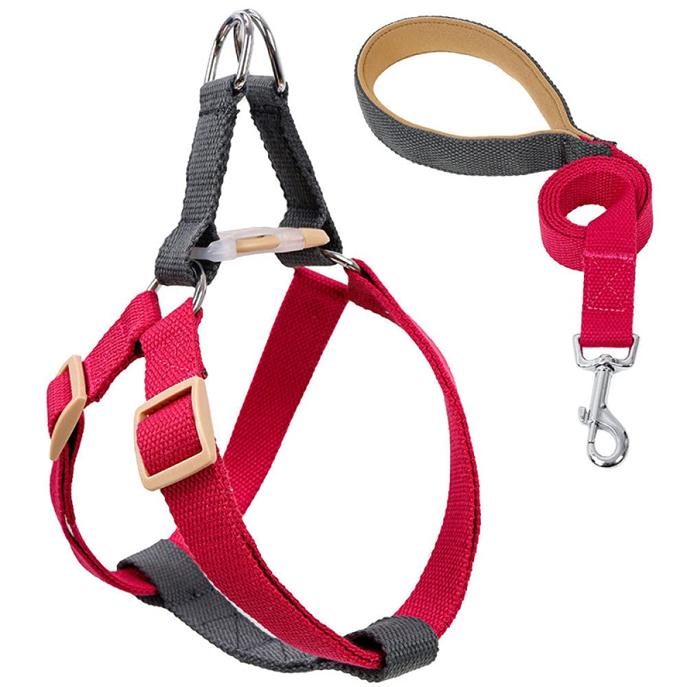 pettorina per cani, Con guinzaglio e pettorina for cani, guinzagli in nylon anti-tiro for di piccola taglia, set, collare GL(F,S)