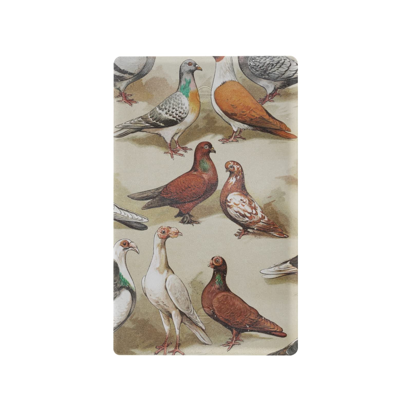 Vintage Seamless House Pigeons at the End of 19th Century Toggle Switch Print Toggle Wall Plate, Switch Plate Cover for Living Room Bedroom Bathroom Office and School