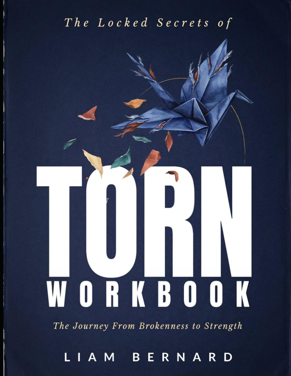 The Locked Secrets Of Torn: The Journey From Brokenness To Strength
