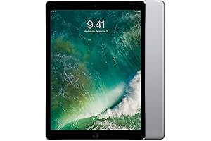 Apple iPad Pro 9.7 inch 32GB Wi-Fi Gray (Renewed)