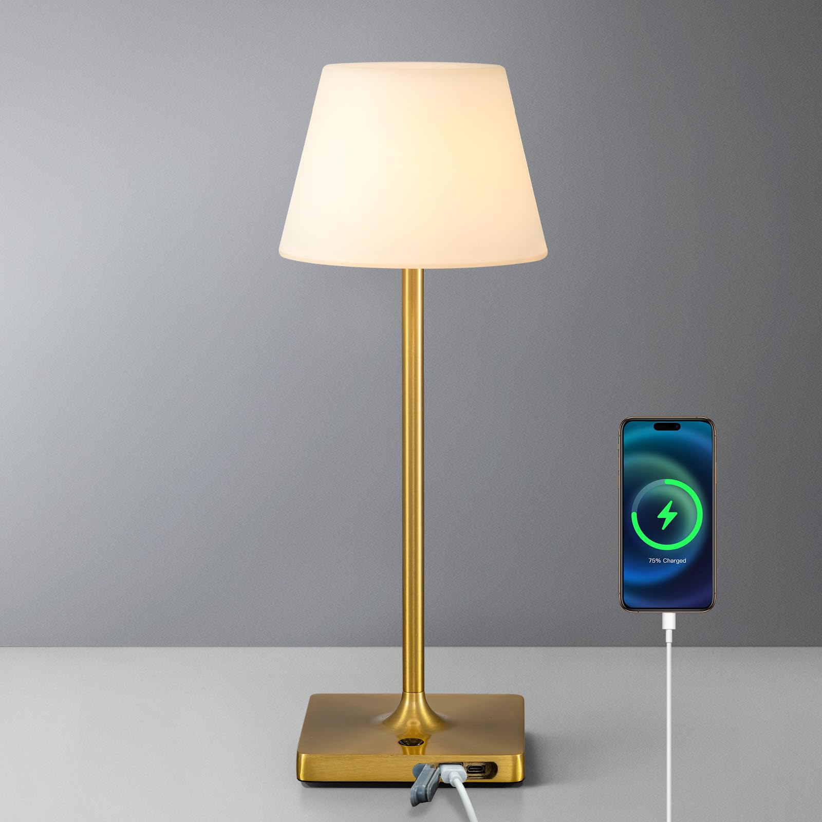 NEWSEE LED Cordless Table Lamp, 4000mAh Portable Rechargeable Battery Powered Dimmable Outdoor Waterproof Table Light, Touch Night Light for Bedroom,