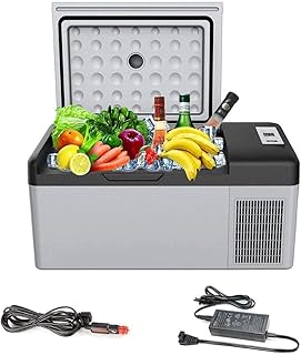 Przenośna mini lodówka Sprężarka Lodówka samochodowa DC 24V 12V Lodówka samochodowa AC 220V Lodówka domowa (15L)