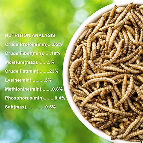 image for RANZ 10LBS Non-GMO Dried Mealworms for Chickens, High Protein Meal Wor