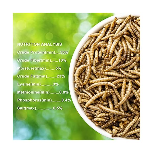 RANZ 10LBS NonGMO Dried Mealworms for Chickens, High Protein Meal