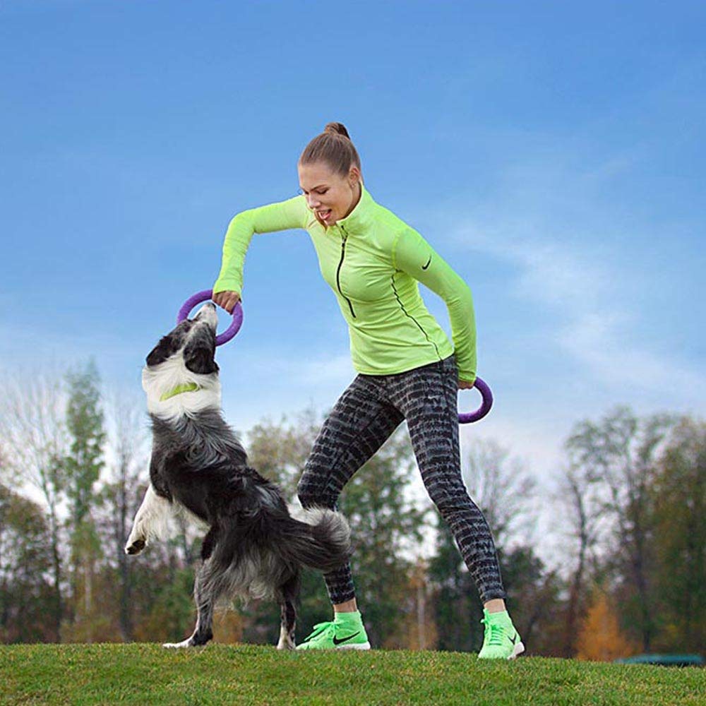 Ferplast Gioco Cane, Anello Addestramento Cani da Masticare, per Corsa, Salto, Tiro, Materiale Robusto Atossico, Galleggiante, PULLER MIDI, Giochi per Cane Piccolo e Medio, Set di 2 Anelli Fitness