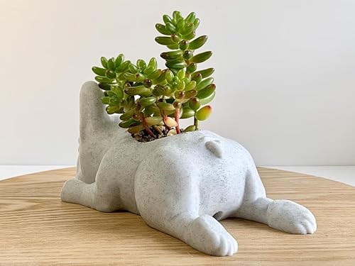 Miniatura 6 de Doggy Planter  French Bulldog Planter Gift Idea, Bar Decor, Table Decor, Plant Gift Idea, Cute Succulent Planter, any caninedogFrench bulldog and