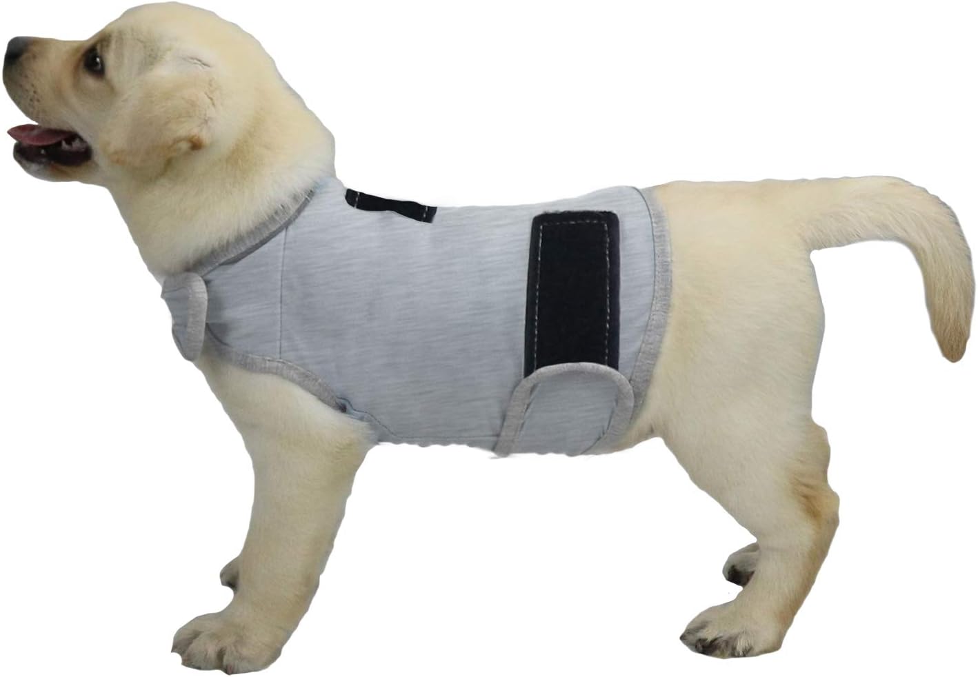 cattamao Comfort Dog Anxiety Relief Coat, Dog Anxiety Calming Vest Wrap for