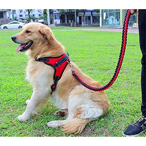 SUPER STRONG Heavy Duty Dog Leash Harness Collar Vest Set, Handcrafted & Anti-twist Safety Metal Clip, Adjustable Dog Basic Halter Martingale Braided Collar Pets Training Leads (S, Red Black) Cover